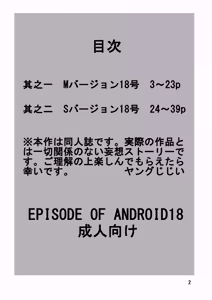 Page 3 of EPISODE OF ANDROID18 - preview thumbnail