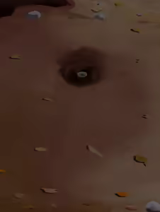 Page 834 of tamanegi (3880756) pre purge archive - preview thumbnail