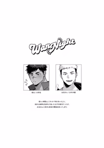 Page 3 of WanNight - preview thumbnail