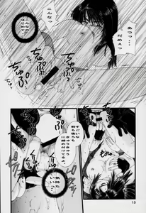 Page 14 of Shock Wave Pulser - preview thumbnail