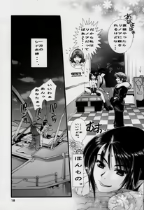 Page 17 of Shock Wave Pulser - preview thumbnail