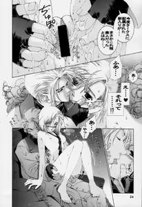 Page 23 of Shock Wave Pulser - preview thumbnail