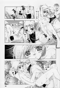 Page 27 of Shock Wave Pulser - preview thumbnail