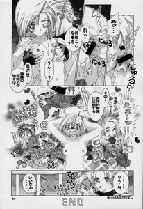 Page 29 of Shock Wave Pulser - preview thumbnail