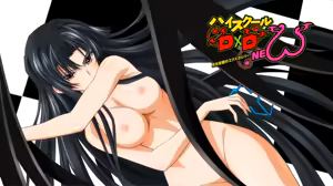 Page 23 of dxd pc - preview thumbnail