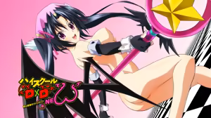 Page 47 of dxd pc - preview thumbnail