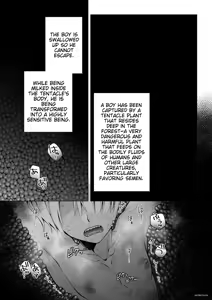 Page 5 of Futago Elf no junan kouhen | The twin elves' trials - Part II - preview thumbnail