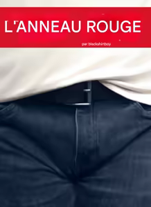 The Red Ring 1-4 French - hentai manga cover image