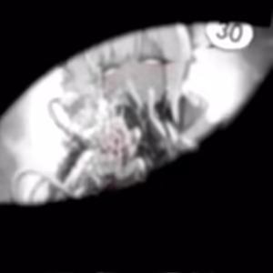 Page 172 of Creep 苦怕 2024 - 2025 - preview thumbnail