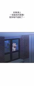Page 507 of 姐姐爱做菜 | 姊姊愛做菜 33-65 - preview thumbnail