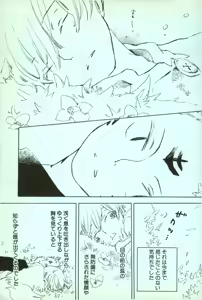 Page 17 of 夢際玉虫 - preview thumbnail