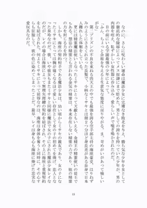 Page 14 of トラブる魔法少女ミサキ2 月の王女と金色の邪精王 - preview thumbnail