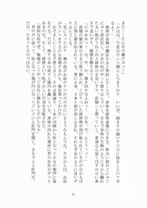 Page 22 of トラブる魔法少女ミサキ2 月の王女と金色の邪精王 - preview thumbnail