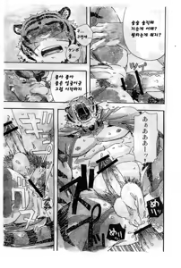 Page 13 of Choujuu Gasshin Build Tiger | 초수합신 빌드 타이거 1 - preview thumbnail