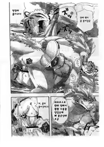 Page 14 of Choujuu Gasshin Build Tiger | 초수합신 빌드 타이거 1 - preview thumbnail