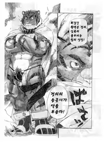 Page 4 of Choujuu Gasshin Build Tiger | 초수합신 빌드 타이거 1 - preview thumbnail