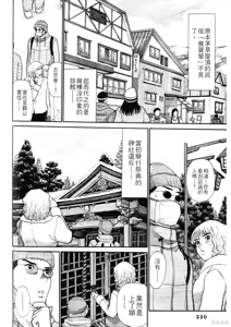 Page 250 of Initiation 5 | 花园的旋转木马 5：宴会/花園的旋轉木馬 5: 宴會 - preview thumbnail
