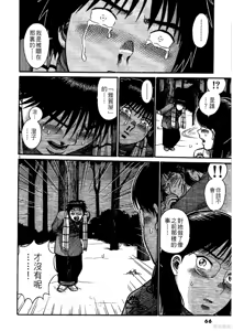 Page 66 of Initiation 5 | 花园的旋转木马 5：宴会/花園的旋轉木馬 5: 宴會 - preview thumbnail
