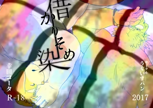 Page 33 of 借染 - preview thumbnail