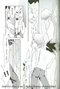 Page 17 of Kiwamono - preview thumbnail