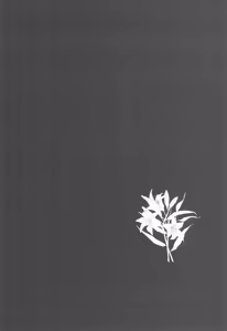 Page 4 of Yoru no Hakobune - preview thumbnail