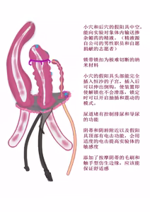 Page 5 of 恒沙生命维持，机械姦，人体改造（18g） - preview thumbnail