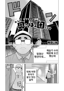 Serebu Okusama wa o Komaridesu | 상류층 사모님은 곤란합니다 — hentai manga cover on Fhentai