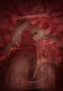 Page 15 of Princess Iron Fan vore pov - preview thumbnail