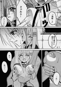 Page 38 of Private Action Act. 1 - preview thumbnail