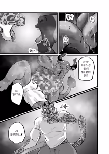 Page 11 of NON CATTLE 4 - preview thumbnail