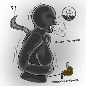 Page 27 of Biolime Part I-IV - preview thumbnail