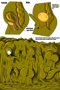 Page 336 of Biolime Part I-IV - preview thumbnail