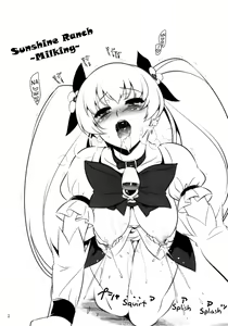 Page 2 of Sankuri - preview thumbnail