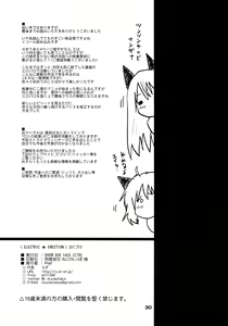 Page 29 of ELECTRIC★ERECTION - preview thumbnail