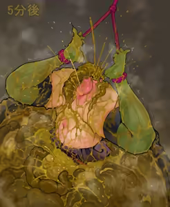 Page 238 of ピクシー／pixy - preview thumbnail