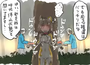 Page 31 of shelter - preview thumbnail