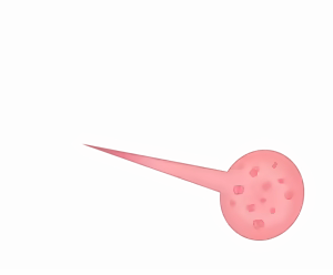 Page 18 of Female Fertilization Templates - preview thumbnail