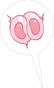 Page 28 of Female Fertilization Templates - preview thumbnail