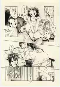 Page 87 of Renai Consultant - preview thumbnail