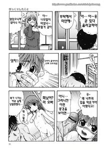 Page 31 of Chinmari 80% - preview thumbnail