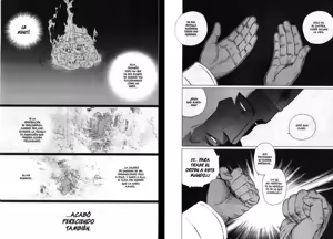 Page 12 of Gunnm Last Order - Tomo 06 - preview thumbnail