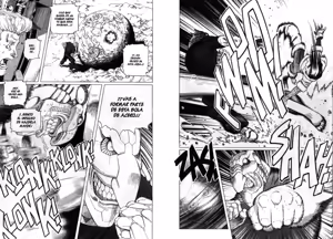 Page 41 of Gunnm Last Order - Tomo 07 - preview thumbnail
