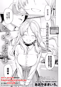 Torotoro Ohime-sama - hentai manga cover image