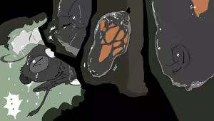 Page 234 of Nawh10 - preview thumbnail
