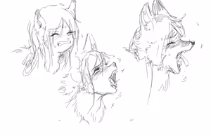 Page 462 of Nawh10 - preview thumbnail