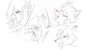 Page 584 of Nawh10 - preview thumbnail