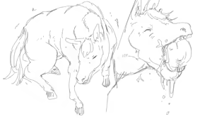 Page 624 of Nawh10 - preview thumbnail