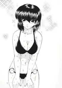 Page 3 of Final S2 - preview thumbnail