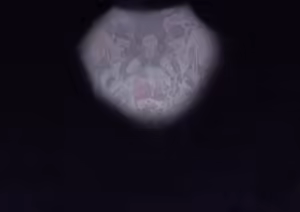 Page 195 of リハビリ絵 ルウィー三姉妹 - preview thumbnail