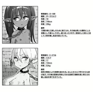 Page 146 of Isekai Dorei Shijou ni Ittemita. | Slave Market Stroll - preview thumbnail